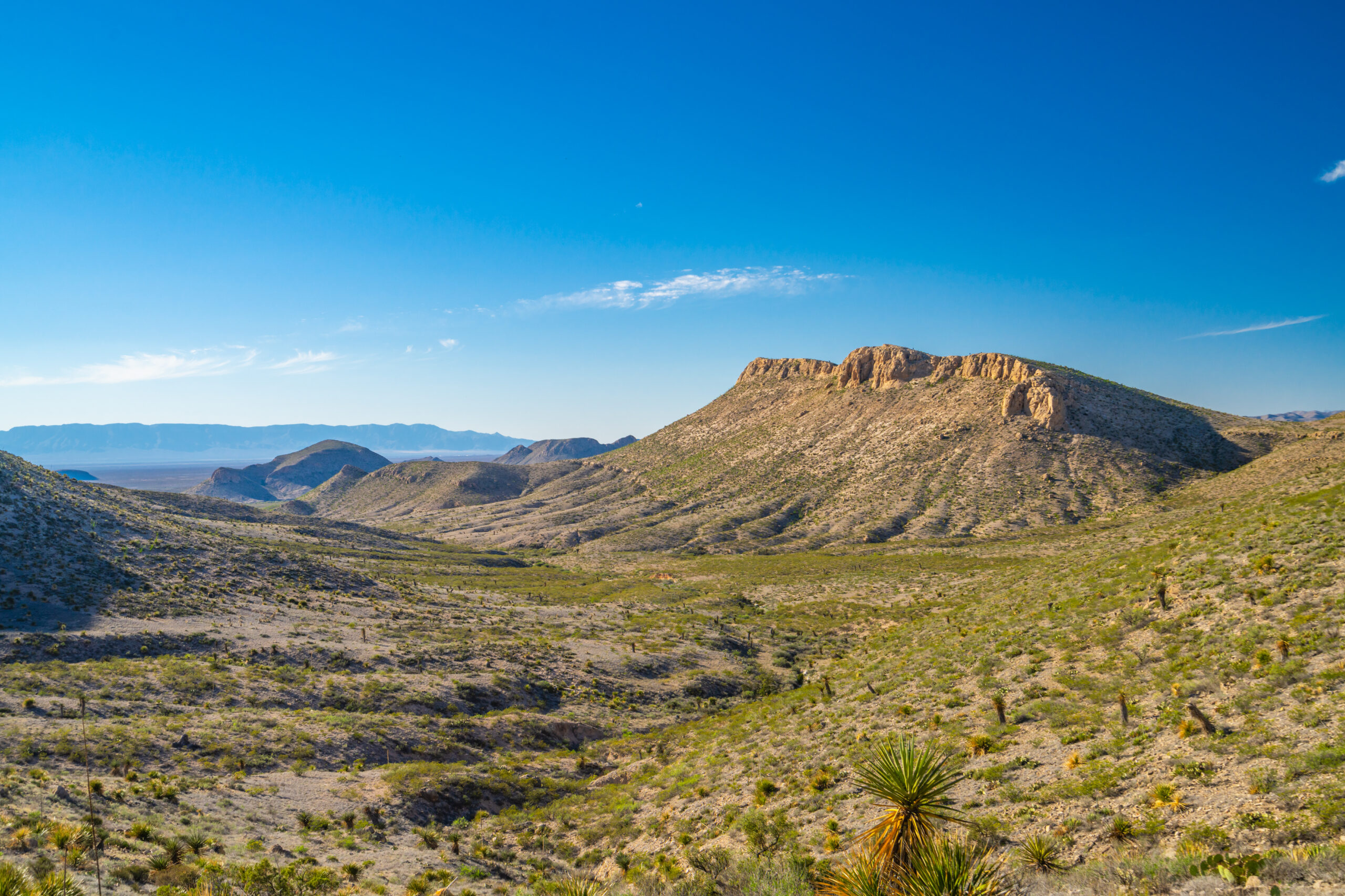Estate Planning for Land Holdings- A Primary Review