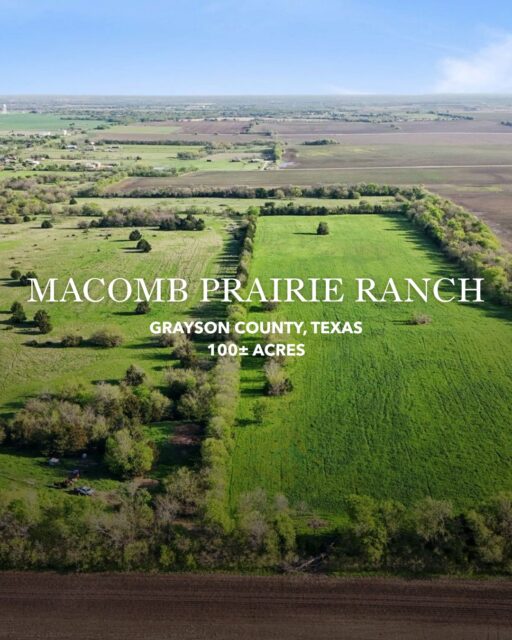 PRICE REDUCED | Macomb Prairie Ranch offers 100± acres in one of North Texas’ fastest-growing corridors, positioned directly in the path of the Dallas-Fort Worth Metroplex expansion into Grayson County. With 700± feet of FM 901 frontage and a prime location between U.S. 377 and Preston Road/SH 289, this versatile property presents outstanding potential for investment, development, a private homesite, or a small-scale ranch operation.

Listing Details | republicranches.com/properties/texas/north-texas/macomb-prairie-ranch

#RepublicRanches #TexasRanches #RealEstate