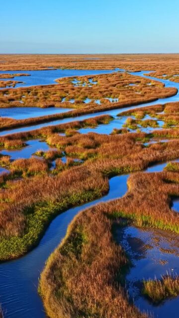 NEW LISTING 

Chocolate Bay Ranch spans 4,900± acres along the Texas Coast, offering one of the largest and most diverse recreational ranch opportunities within an hour of Houston. With private saltwater fishing access, premier waterfowl habitat, extensive conservation protections, and neighboring preserved lands surrounding Chocolate Bay, this is a rare legacy property built for recreation, wildlife, and long-term stewardship.

Listing Details | republicranches.com/properties/texas/coastal-prairie/chocolate-bay-ranch

#TexasRanch #TexasCoastalRanch #BirdHunting