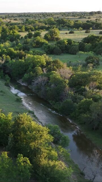 Cotton Willow Ranch is a rare 1,239± acre legacy property in the heart of Bosque County, just 25 minutes from Waco and within easy reach of both Dallas and Austin. From crystal-clear live water creeks, springs, and native prairie to towering hardwoods, rolling elevation changes, and thriving wildlife habitat, this ranch embodies everything exceptional about owning land in Texas.

Listing Details | republicranches.com/properties/texas/blackland-prairie/cotton-willow-ranch

#TexasRealEstate #TexasLand #RanchRealEstate
