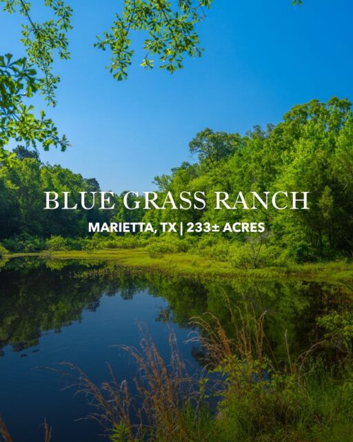 PRICE REDUCED

Blue Grass Ranch is a meticulously maintained Northeast Texas property offering the perfect blend of rolling pastures, mature timber, scenic ponds, and abundant wildlife habitat across a truly versatile landscape. With multiple homesite elevations, strong ranching and recreational potential, and convenient access to Dallas, this all-around ranch captures the beauty and functionality of the Post Oak Savannah and Piney Woods regions.

Listing Details | republicranches.com/properties/texas/northeast-texas/blue-grass-ranch

#RepublicRanches #TexasRanches #RanchRealEstate