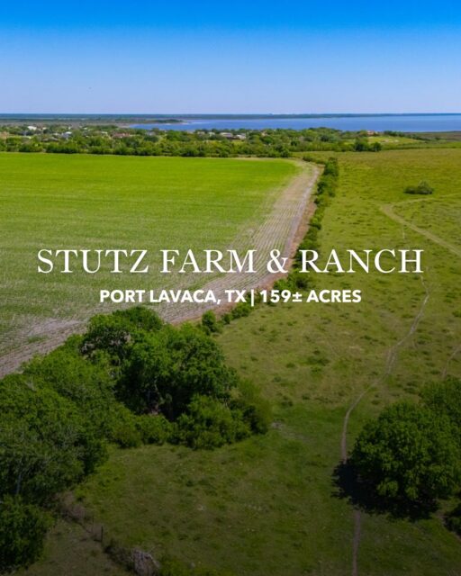 PRICE REDUCED

This 159± acre legacy property, held by the pioneering Stutzenbecker family since 1895, offers a rare blend of productive farmland, native pasture, and outstanding recreational appeal just minutes from Port Lavaca. With row crop acreage, strong hunting and fishing opportunities, and scenic views overlooking Lavaca Bay, the ranch is well-suited for agriculture, recreation, or a future homestead.

Listing Details | republicranches.com/properties/texas/coastal-prairie/stutz-farm-and-ranch

#TexasFarm #TexasRealEstate #FarmandRanch