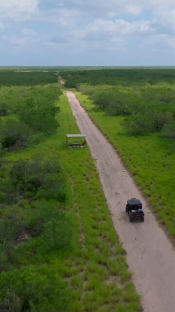Randado Ranch- a lot of rain, a lot of quail! 

For the first time in generations, the historic Randado Ranch is being offered for sale after 95 years of family ownership, representing one of South Texas’ premier legacy ranches. Renowned for its groundbreaking role in modern deer management, exceptional water resources, and world-class cattle, whitetail, quail, and dove hunting, this remarkable property stands among the finest sporting ranches in the region.

Listing Details | republicranches.com/properties/texas/south-texas/randado-ranch

#RandadoRanch #QuailCalling #SouthTexasQuail