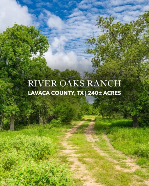 River Oaks Ranch | Lavaca County, TX | 240 Acres

240 acres of prime Lavaca County ranch land just outside Morales, Texas, offering a rare combination of river frontage, mature woods, rolling pastures, and exceptional wildlife habitat. With easy access from Houston and Austin, this versatile property is well-suited for ranching, recreation, or creating a lasting legacy in one of South Texas’ most desirable regions.

Listing Details | republicranches.com/properties/texas/coastal-prairie/river-oaks-ranch

#RepublicRanches #RanchRealEstate